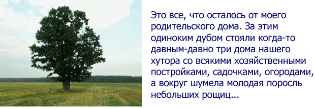 Анализ стихотворения "одинокий дуб заболоцкого": подробное руководство по анализу