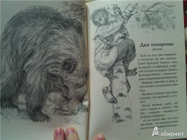 Обзор и анализ рассказа "два товарища" толстого: ключевые уроки и смысл произведения
