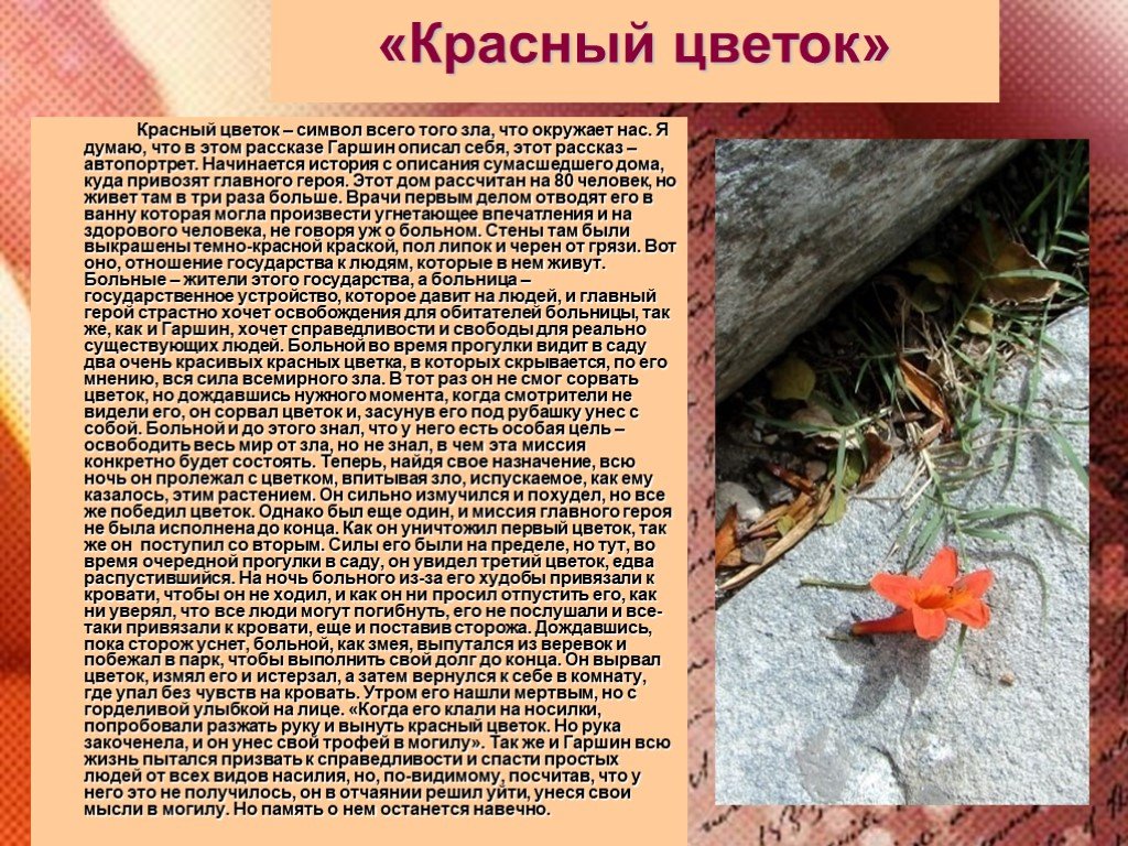 Раскрываем смысл произведения «красный цветок» гаршина: интерпретация и анализ
