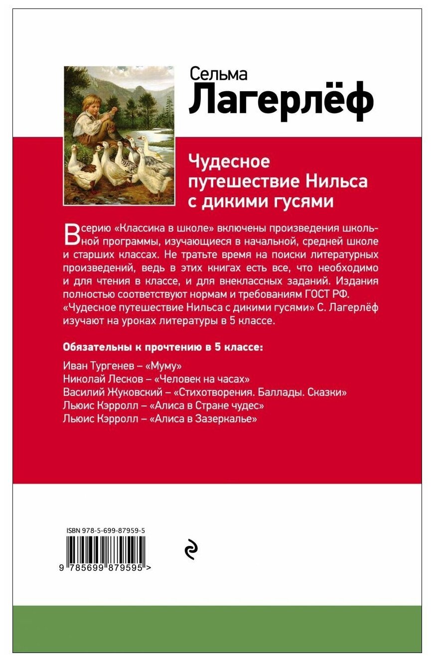 Чудесная книга «путешествие нильса» для читательского дневника